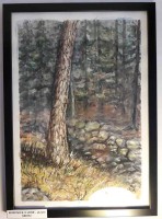 /album/korona-vyprodej/borovice-v-lese-jpg/